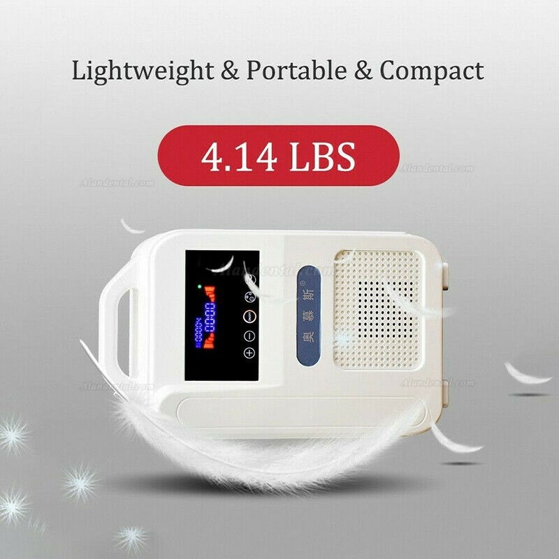 Portable Intelligent Home Car Oxygen-Concentrator Generator 1L/min Machine