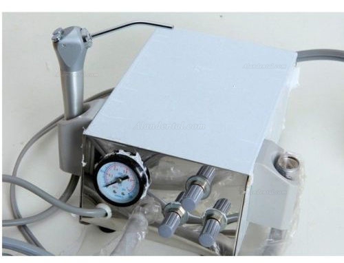Portable Dental Turbine Unit Work Air Compressor 3 way Syringe Handpiece 2/4 Hole