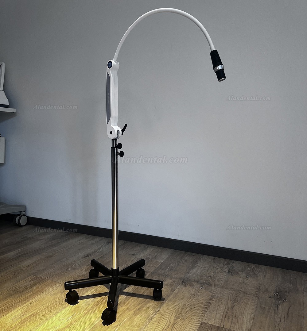 KWS KD-2005W-4 LED Dental Exam Light Adjustable Operation Lamp With Remote Control