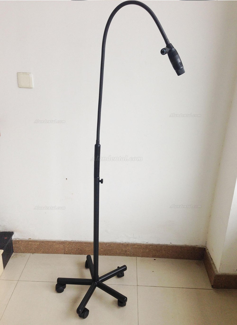 Buy Cheap KWS KD-202B-1 3W led brightness adjustable portable dental ...