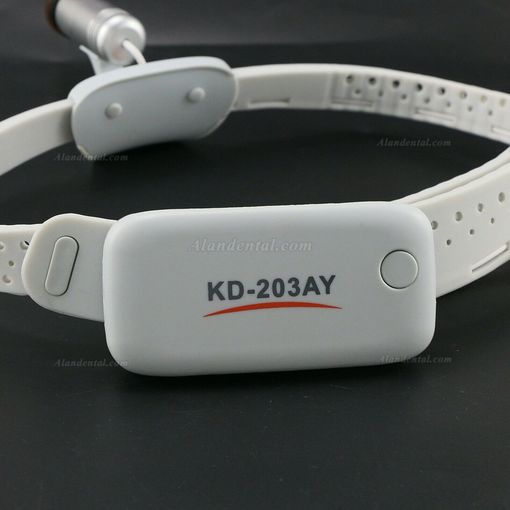 Buy Cheap KWS KD-203AY-8 High CRI LED portable surgical dental head ...