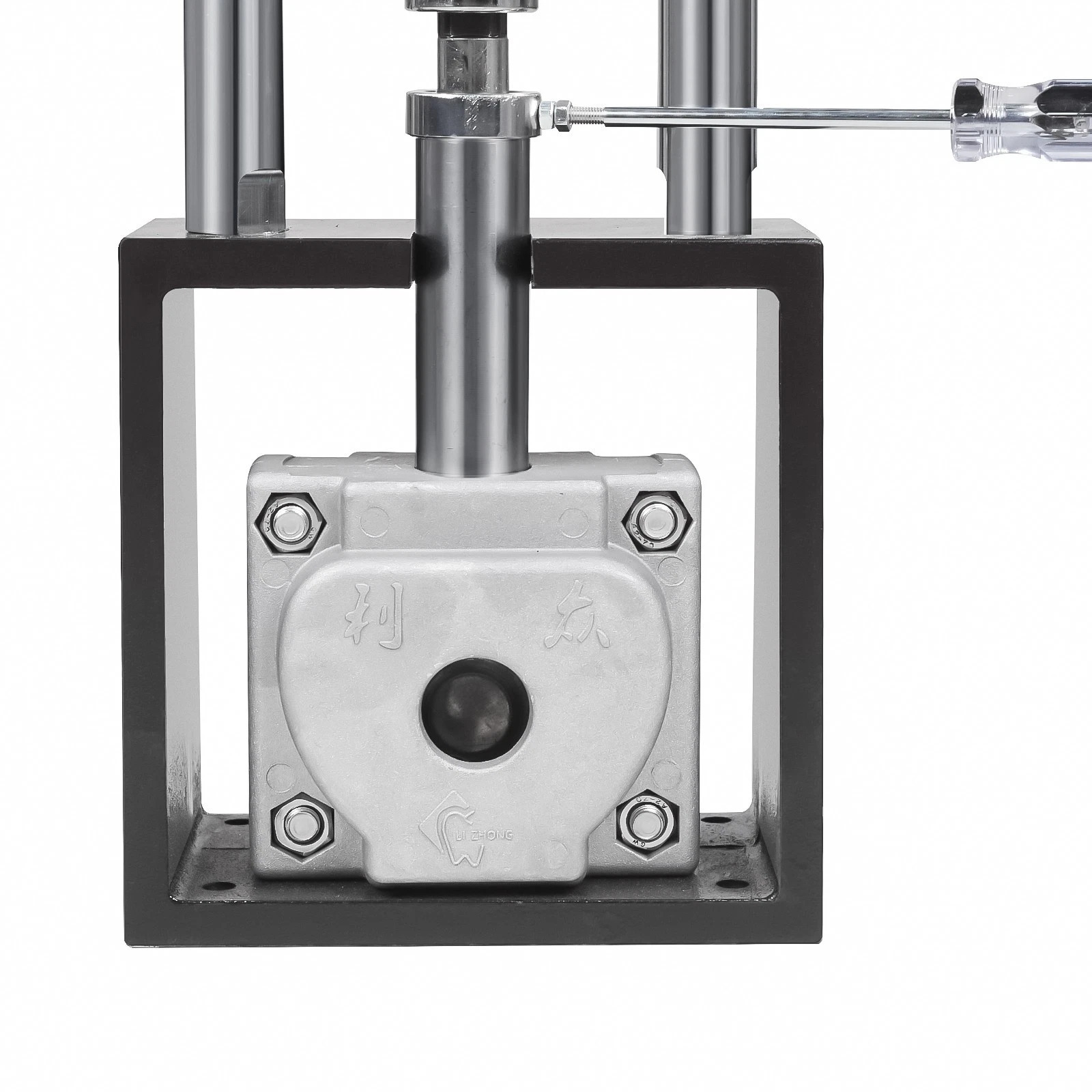 LIZHONG LZYY-II Dental Lab Flexible Denture Injection System