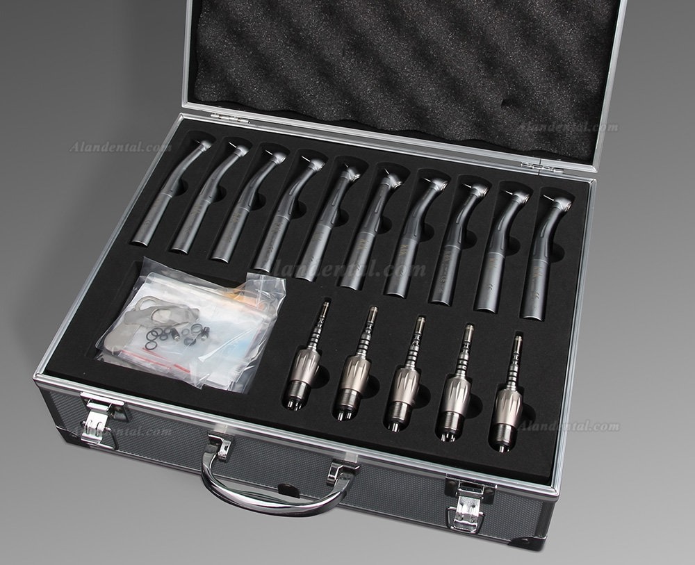 Dental High Speed Turbine Handpiece Fiber Optic Kit with Lubrication Tool