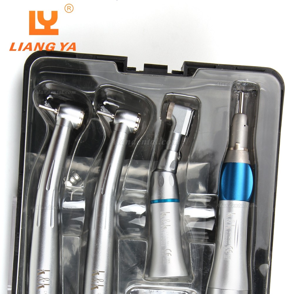 LY LY-L201 Dental Turbine Handpiece + Low Speed Handepiece Kit