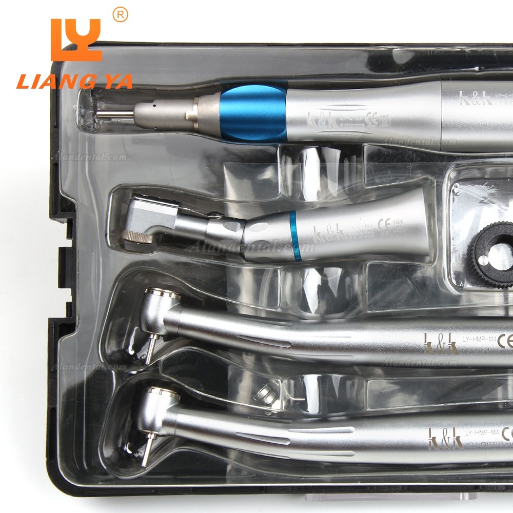 LY LY-L201 Dental Turbine Handpiece + Low Speed Handepiece Kit