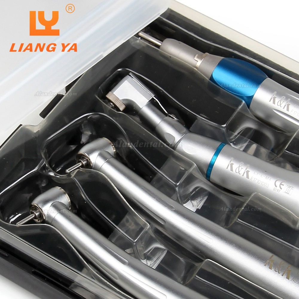 LY LY-L201 Dental Turbine Handpiece + Low Speed Handepiece Kit