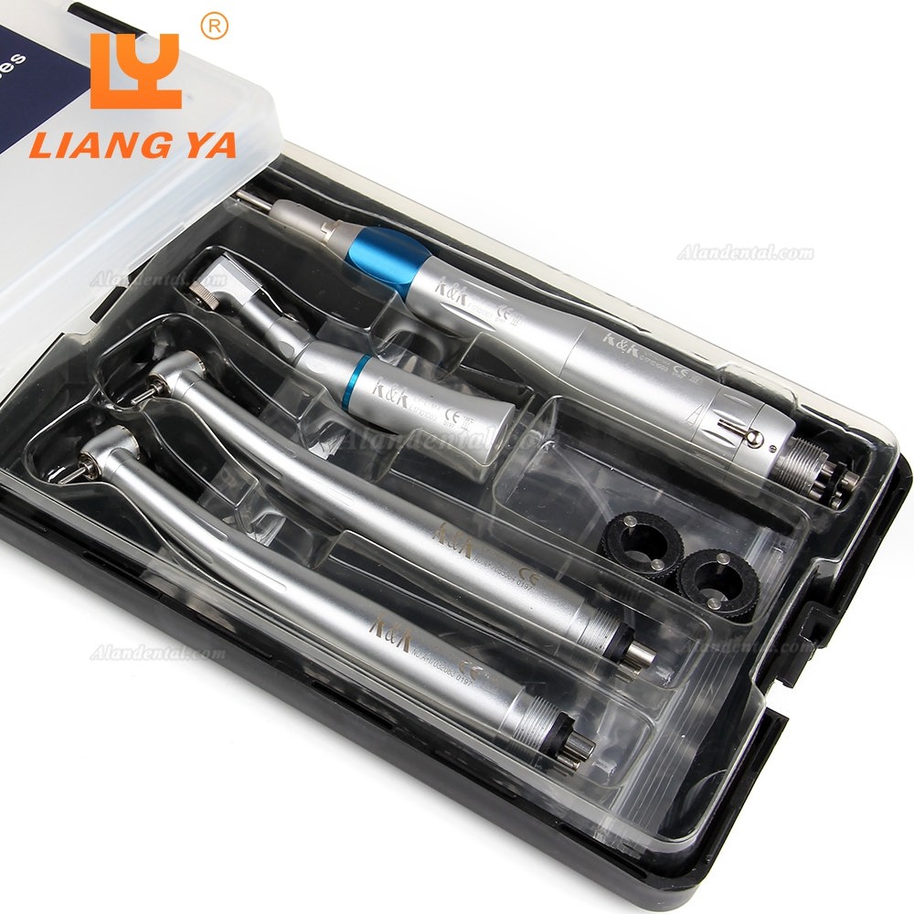 LY LY-L201 Dental Turbine Handpiece + Low Speed Handepiece Kit