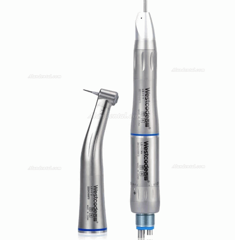 Westcode M-L530 Dental Contra-angel 1:1+ Straight + E-type Air Motor Handpiece Kit