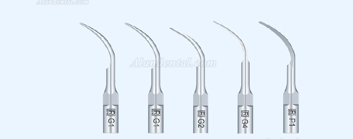 Refine MaxPiezo1 Dental Ultrasonic Scaler Compatible EMS