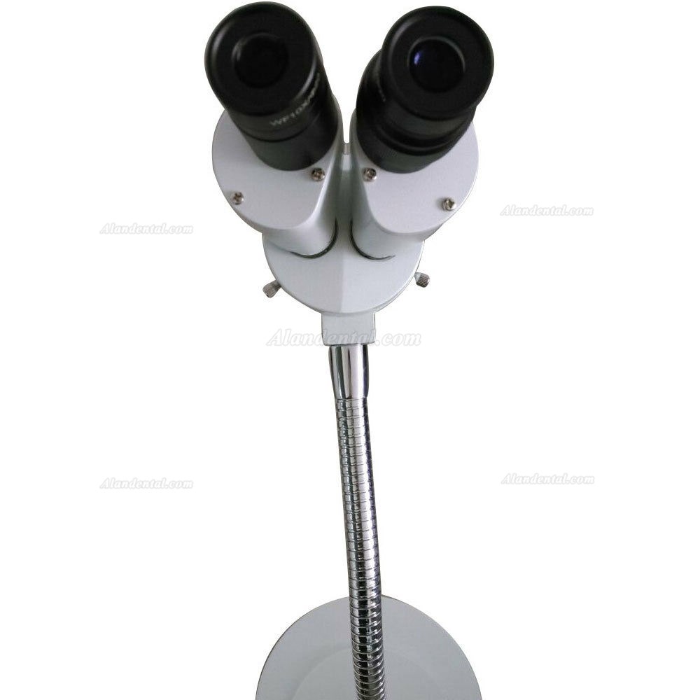 Buy Cheap Micare 8X Dental Microscope 360° Revolve with LED Alandental ...
