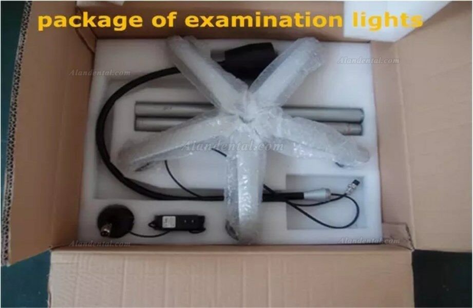 Micare JD1100 High brightness portable dental led examination light