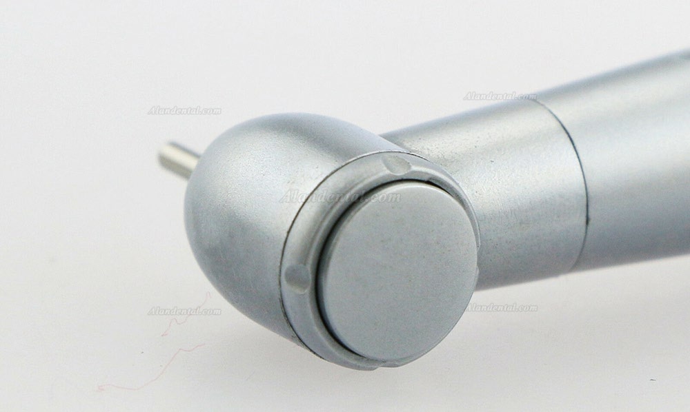 RUIXIN Dental Fiber Optic Handpiece Fit KaVo Multiflex Coupling