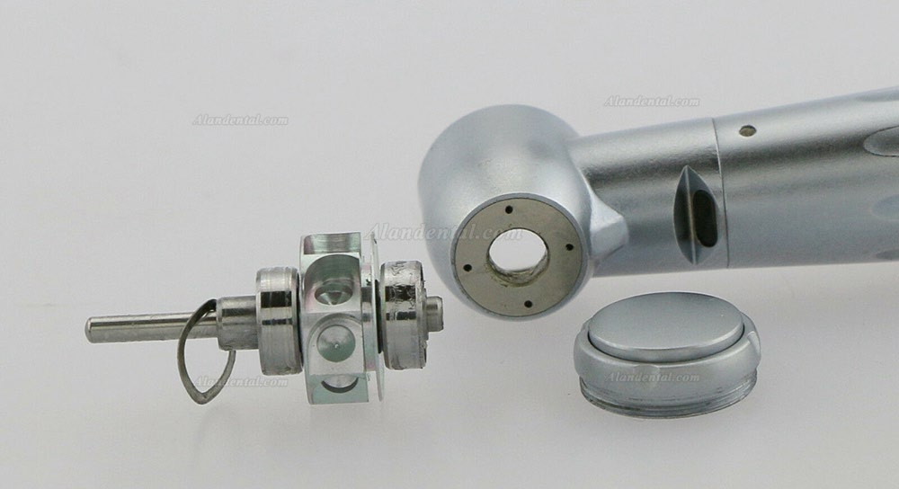 RUIXIN Dental Fiber Optic Handpiece Fit KaVo Multiflex Coupling
