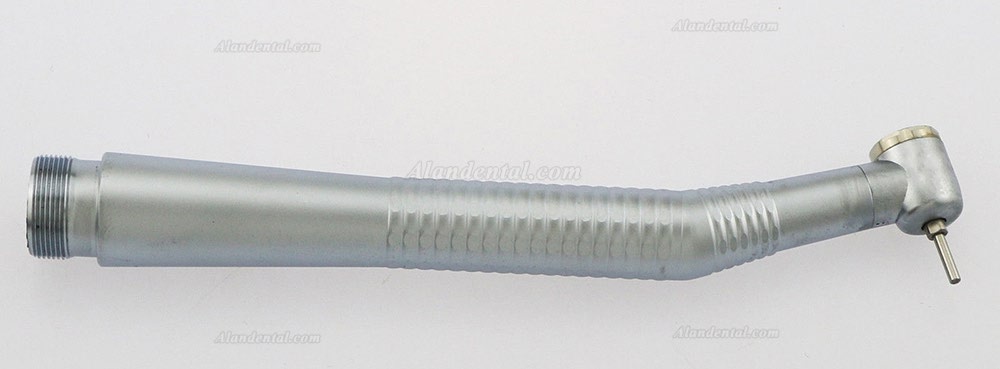 Ruixin Dental Surgical High Speed Standard Wrench Handpiece 2/4 Holes