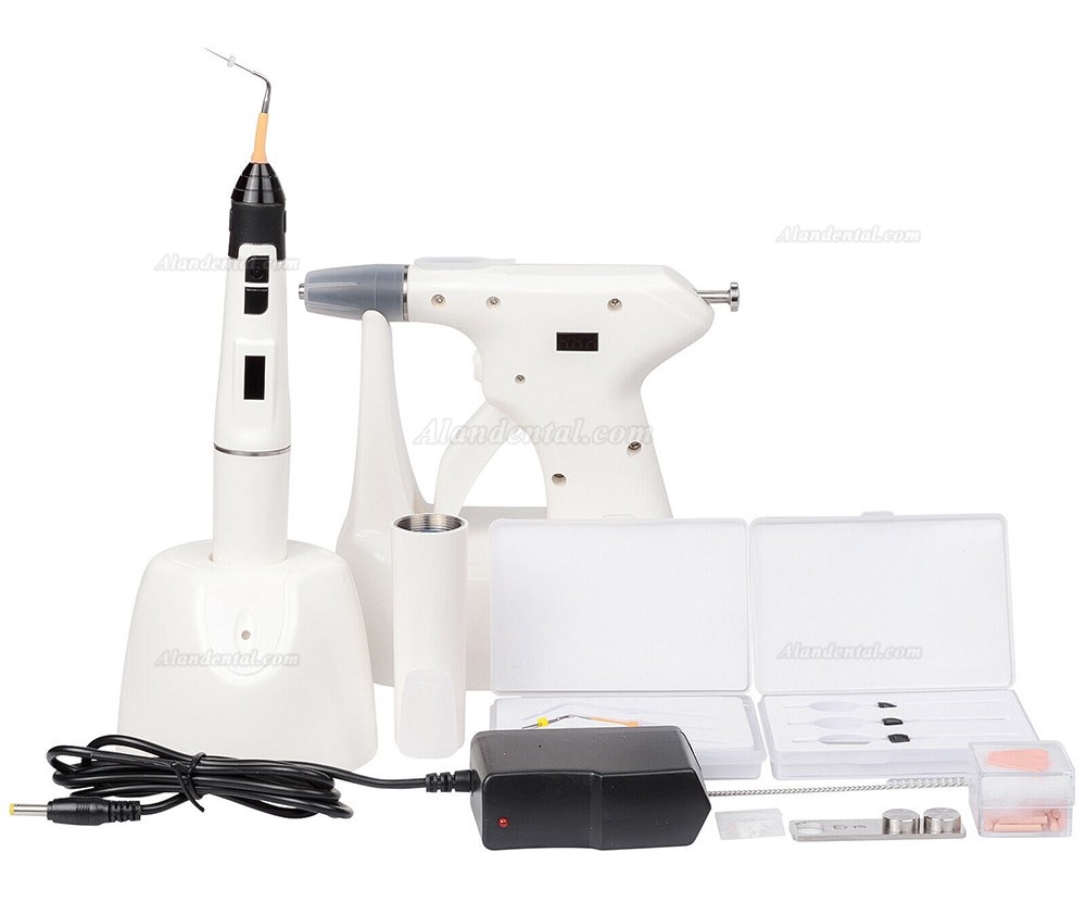 DEGER SY-Fill Cordless Dental Gutta Percha Obturation System (Pen Gun Needle Kit)