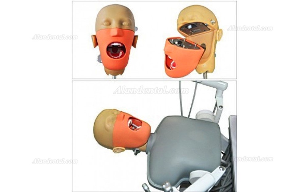 Dental Simulator Unit Working Station Manikin Phantom Heads Teaching Dentist