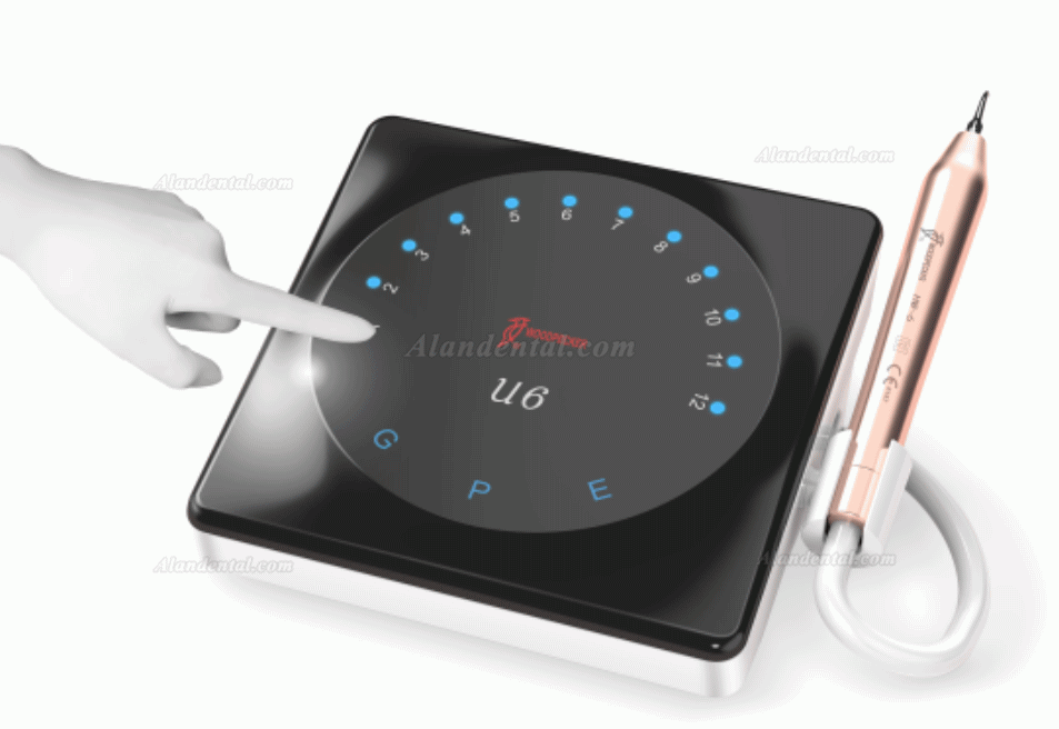 Woodpecker U6 LED Smart Ultrasonic Scaler Root Canal Treatment UDS/EMS Compatible