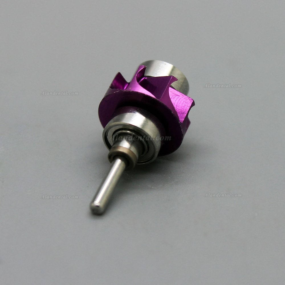 W&H Synea TA-98 Alegra TE-95 TE-98 Handpiece Replacement Spare Rotor COXO CXW05