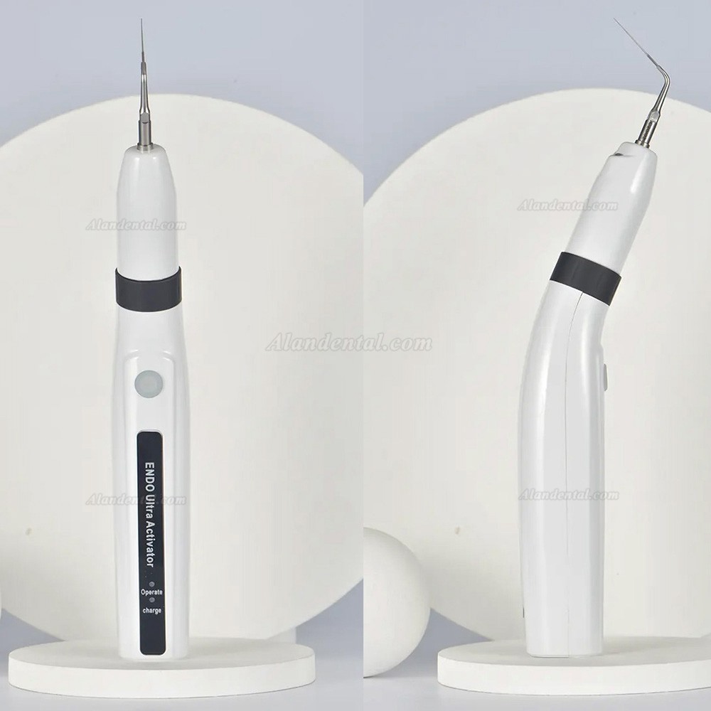 Buy Cheap Westcode LED Endo Ultra Activator Alandental.com|Dental ...