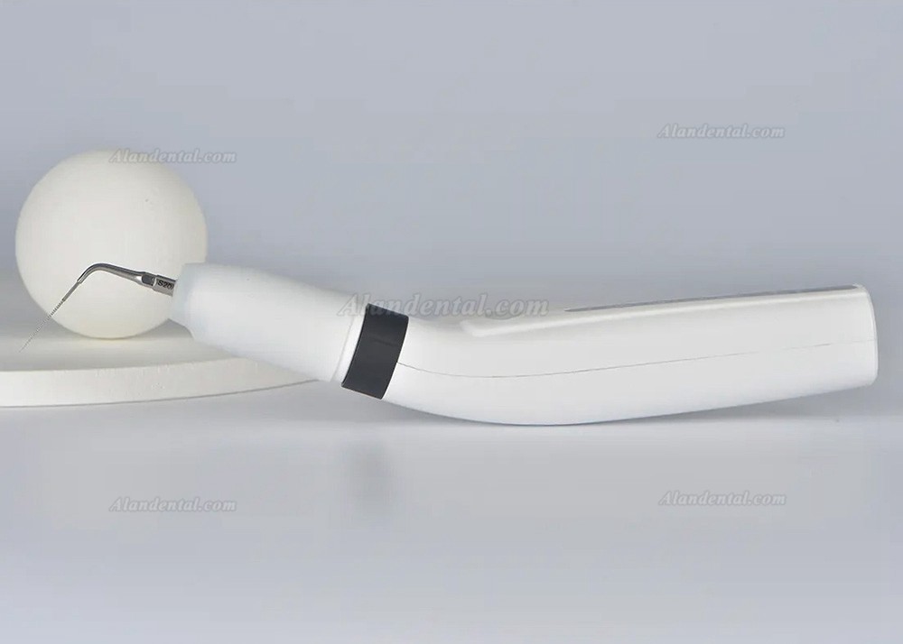 Buy Cheap Westcode LED Endo Ultra Activator Alandental.com|Dental ...