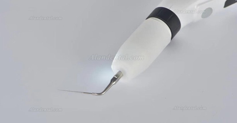 Buy Cheap Westcode LED Endo Ultra Activator Alandental.com|Dental ...
