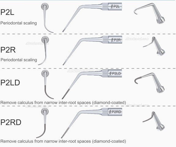 5Pcs/pack Woodpecker Dental Ultrasonic Scaler Scaling Periodontics Tips EMS Compatible P1