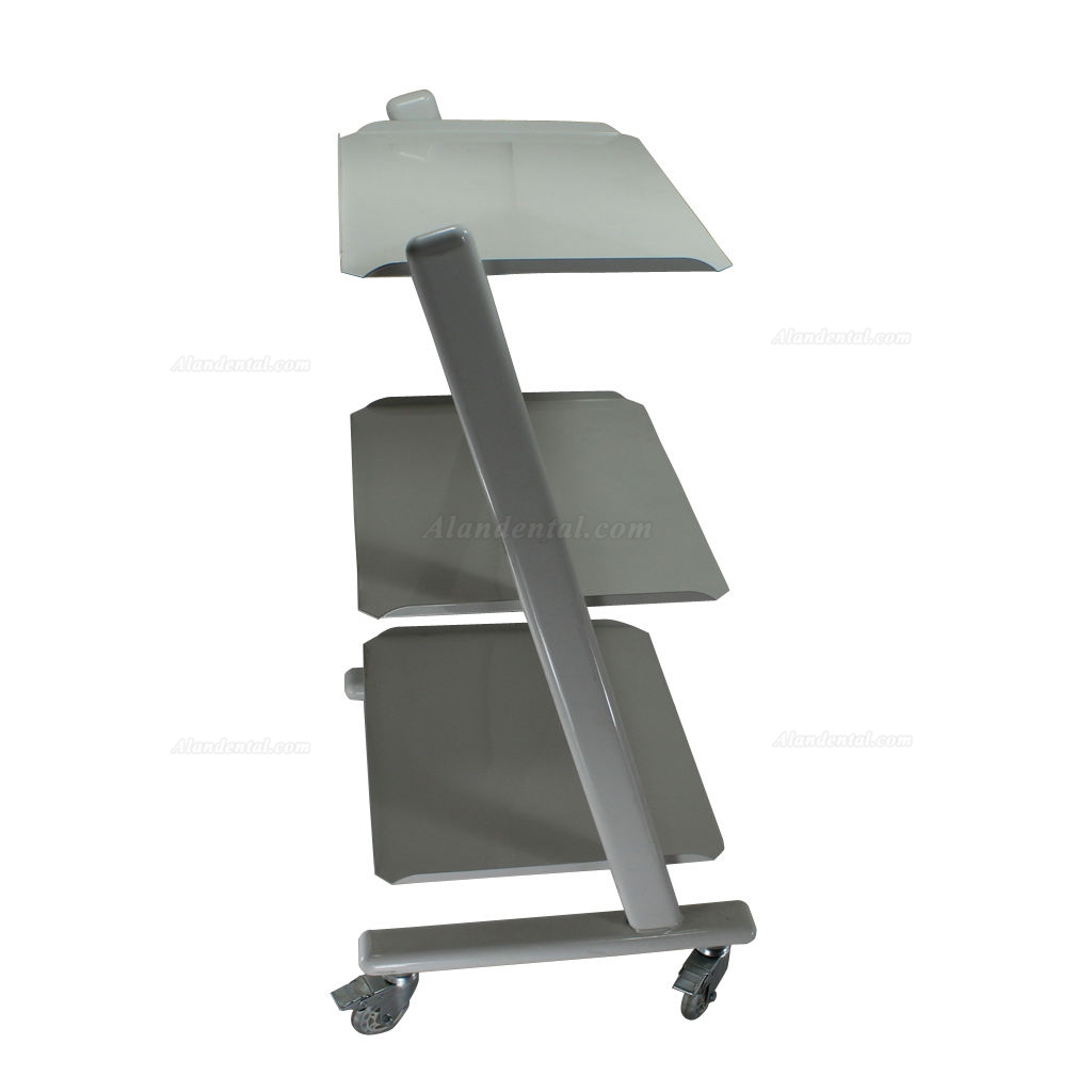 Medical Steel Cart Trolley Doctor Dentist Trolly for Spa Salon Dental Equipment