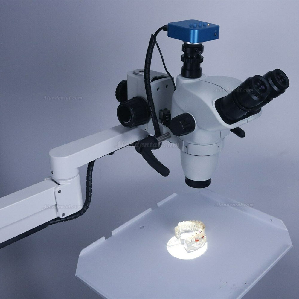 Trolley Type 5W Dental Root Canal Therapy Operating Microscope Loups with Camera