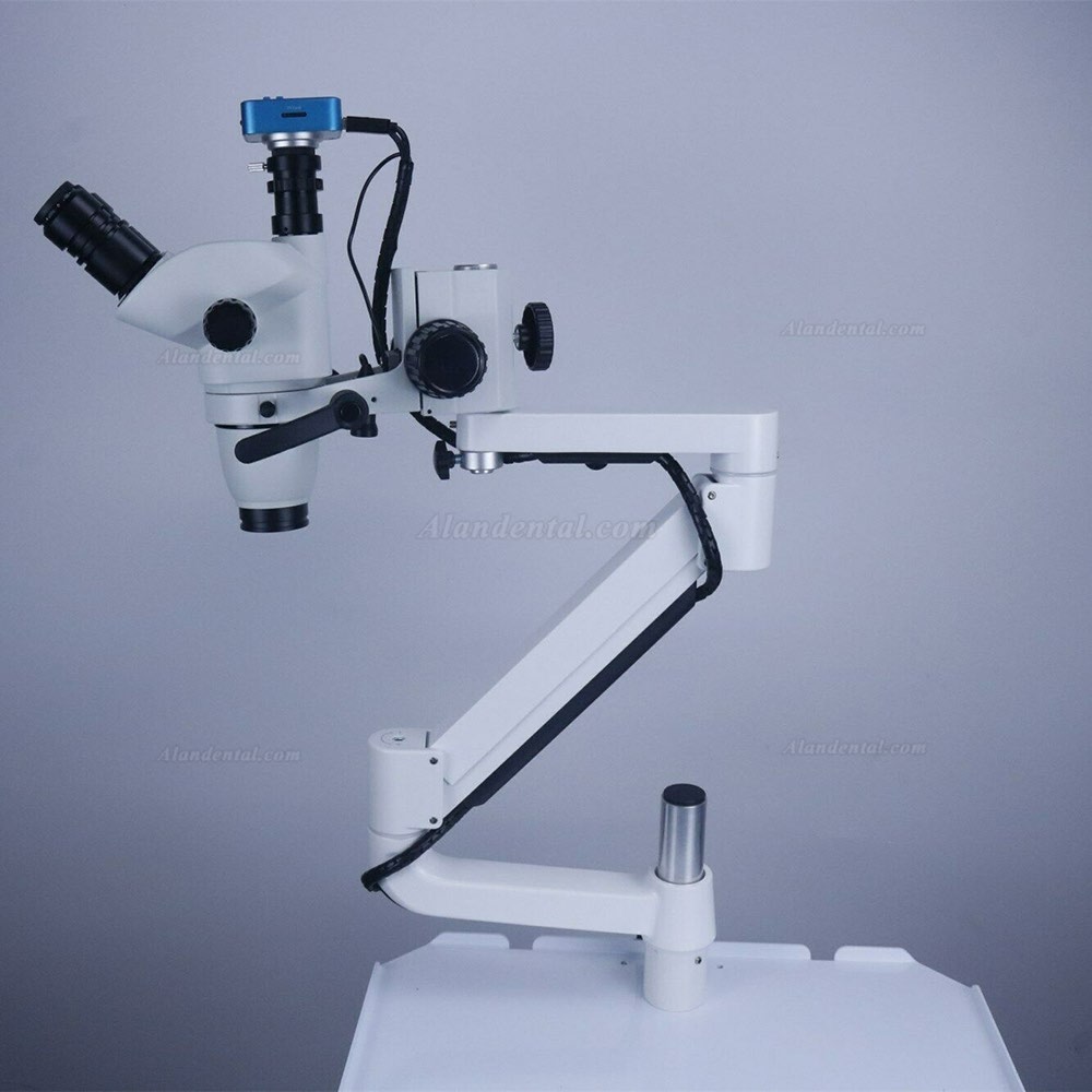 Trolley Type 5W Dental Root Canal Therapy Operating Microscope Loups with Camera