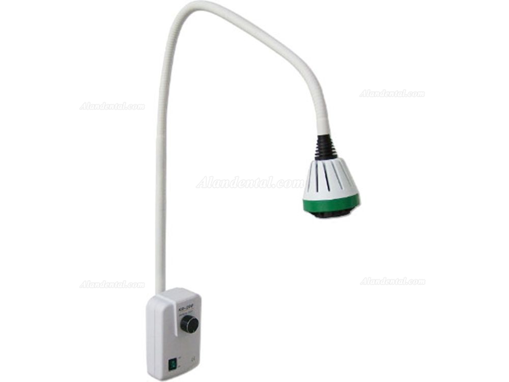 Dental 9W LED Surgical Medical Exam Light Lamp Clip Wall Floor Type ENT DC Power