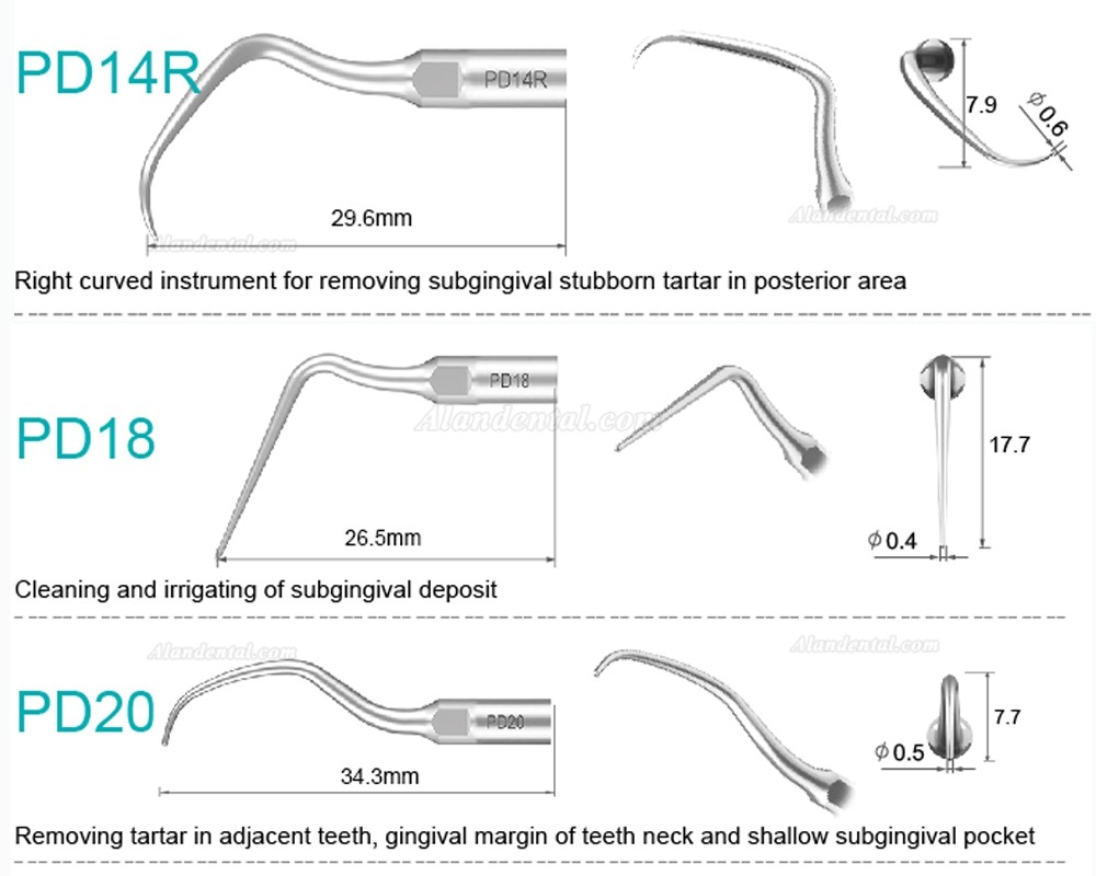 10Pcs Refine® Ultrasonic Scaler Tips PD2L PD2LD PD2R PD2RD PD5 PD6 PD7 PD8 PD10 Compatible with SATELEC NSK DTE GNATUS Scaler Handpiece