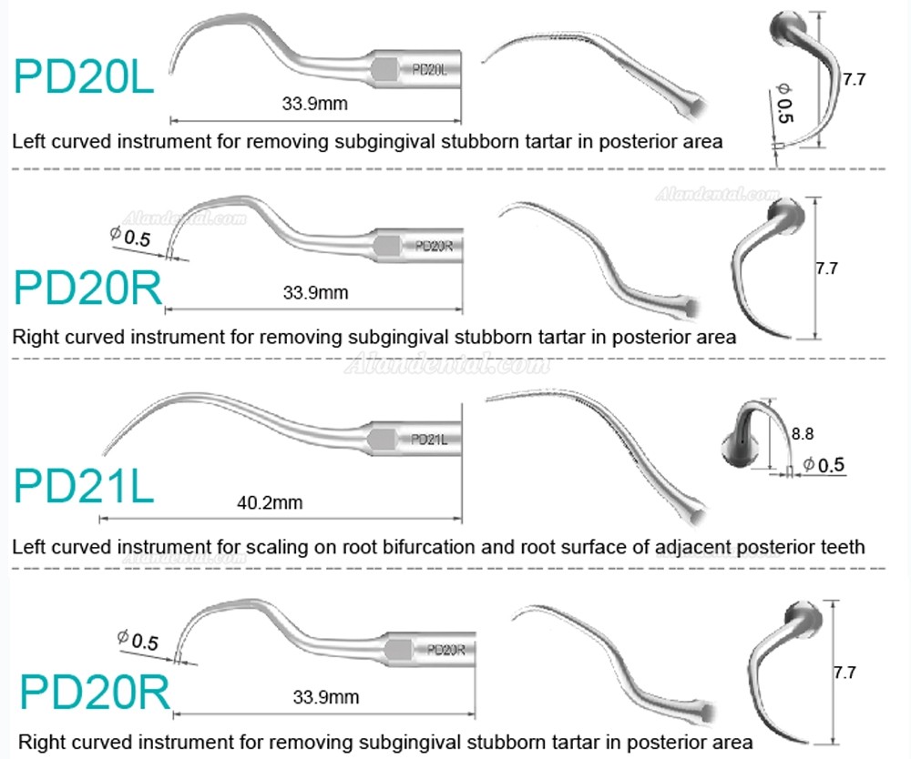 10Pcs Refine® Ultrasonic Scaler Tips PD2L PD2LD PD2R PD2RD PD5 PD6 PD7 PD8 PD10 Compatible with SATELEC NSK DTE GNATUS Scaler Handpiece