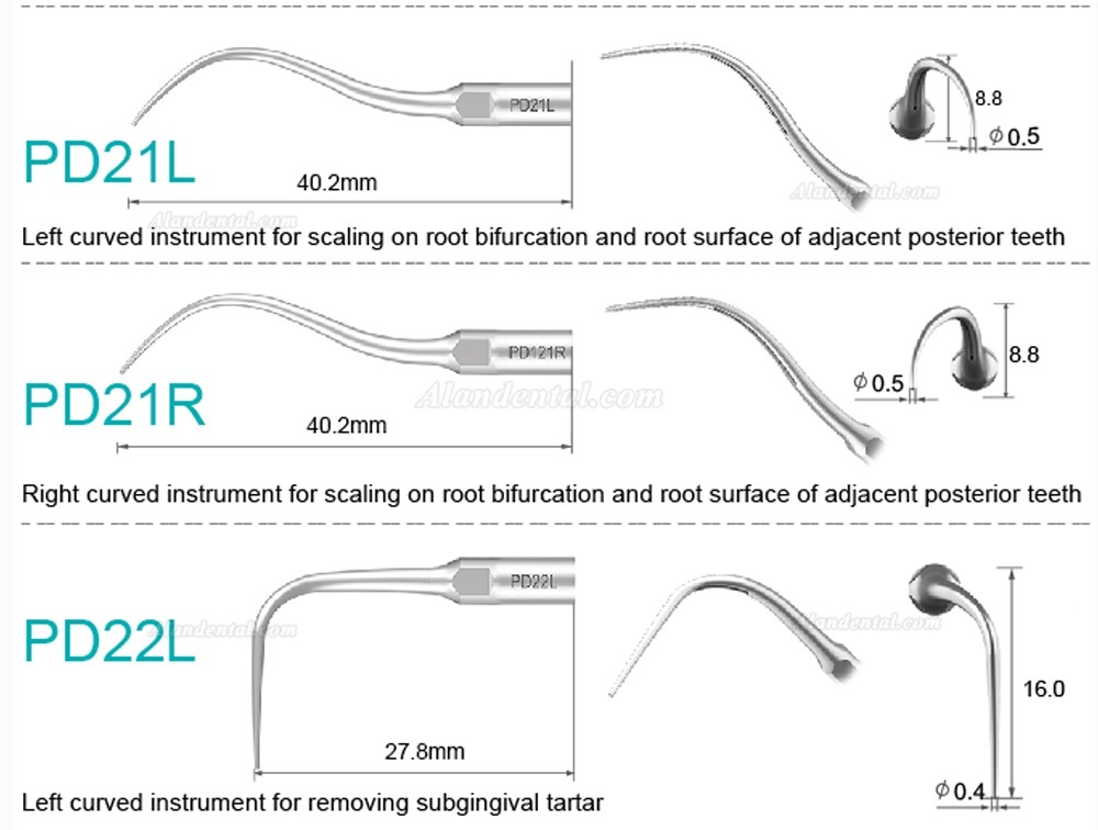 10Pcs Refine® Ultrasonic Scaler Tips PD2L PD2LD PD2R PD2RD PD5 PD6 PD7 PD8 PD10 Compatible with SATELEC NSK DTE GNATUS Scaler Handpiece